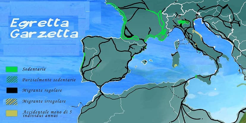 Siccità al Nord Italia, i fiumi Po e Ticino in crisi idrica