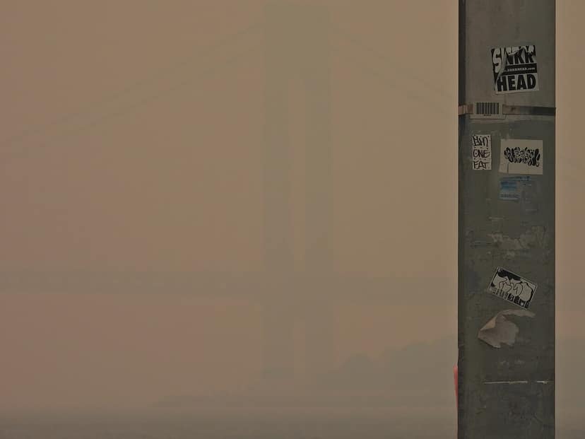 Waldbrand am Mount Bromo gelöscht, neue Brandherde entdeckt