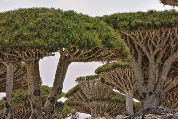 Ataques de los hutíes matan a siete en el puerto de Al-Makha, Yemen