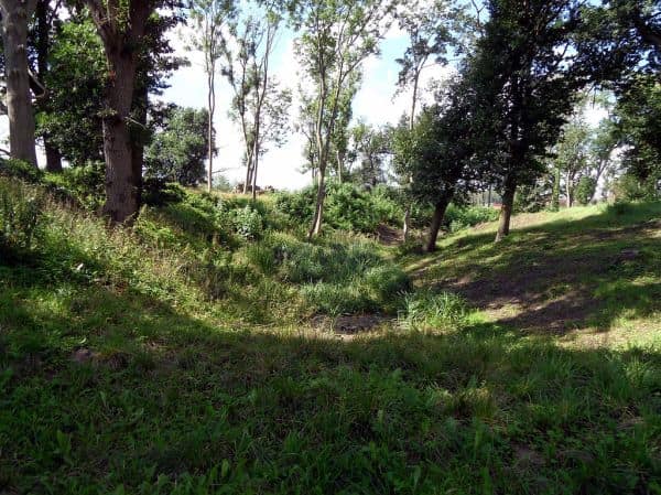 Überreste von schwangere Steinzeitfrau auf Gotland entdeckt