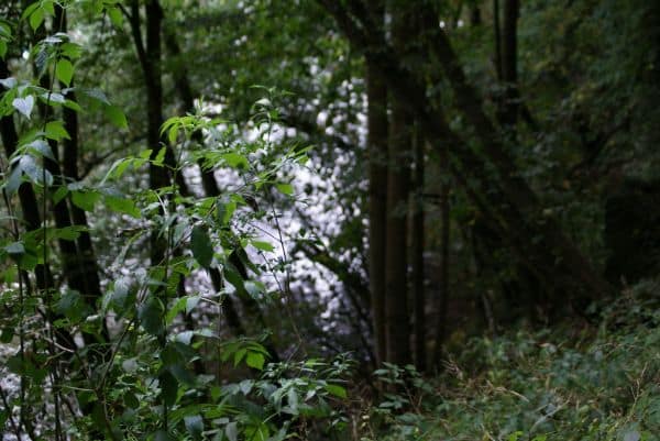 36 personen, waaronder 17 Belgen, gered in Tirol na wandelproblemen