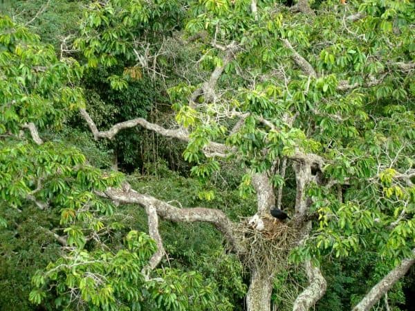 Entdeckung von römischen Schiffswracks vor der Küste Siziliens