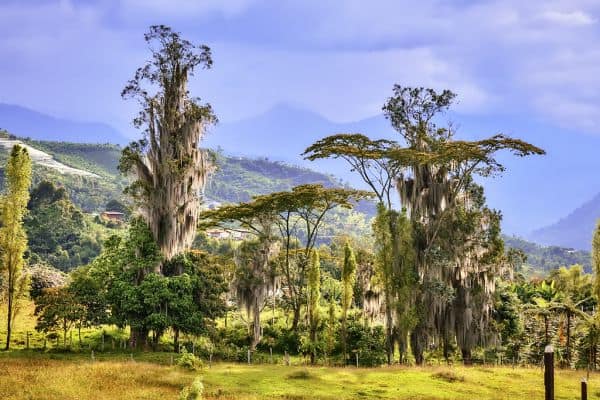 Zware aardbeving in Colombia eist minstens twintig levens en veroorzaakt aanzienlijke schade