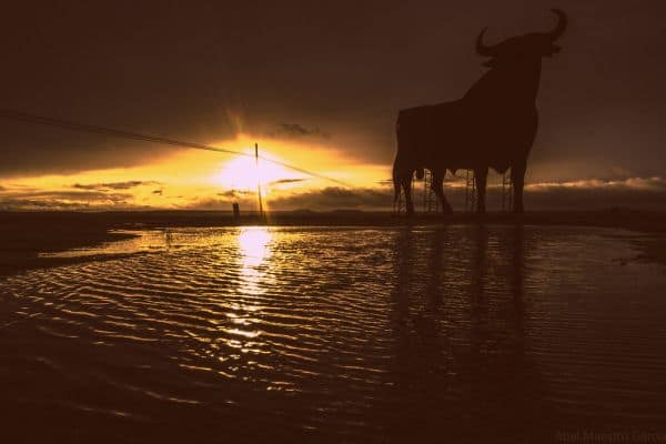 Spanien bereitet sich auf seine erste totale Sonnenfinsternis seit über einem Jahrhundert vor