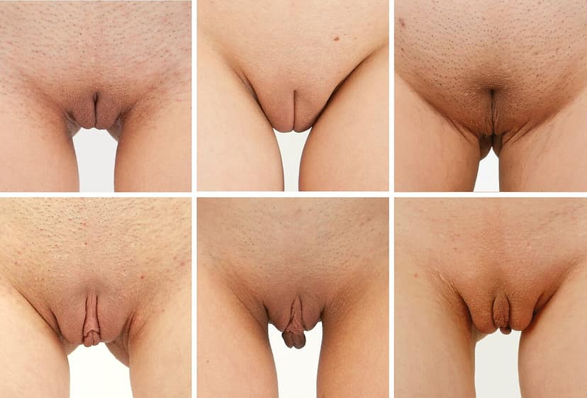Dikke Van Dale adds vulval lips to dictionary