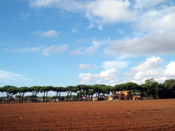 Italia y Dinamarca exigen centros de repatriación ante la inmigración