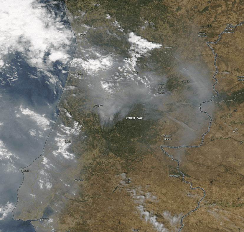Über 20.000 Menschen wegen Waldbrand in Kanada evakuiert